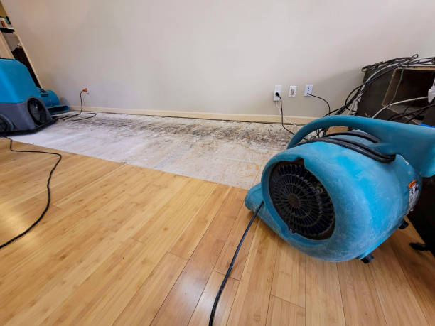 Professional Burst Pipe Water Damage technician working in Peninsula, OH